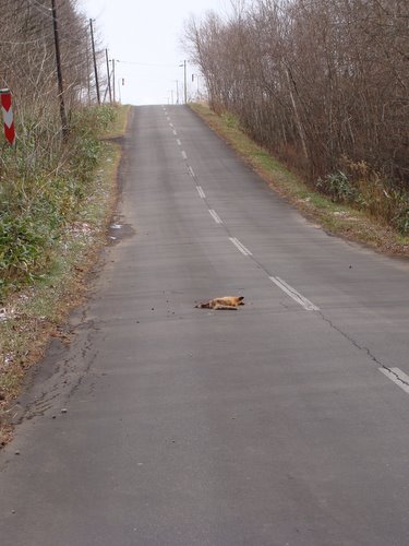 008_20111123003337.jpg