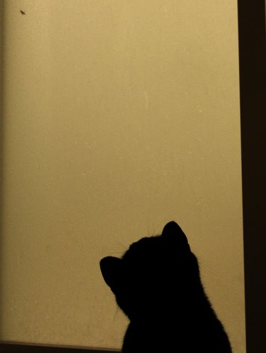 020_20110923003245.jpg