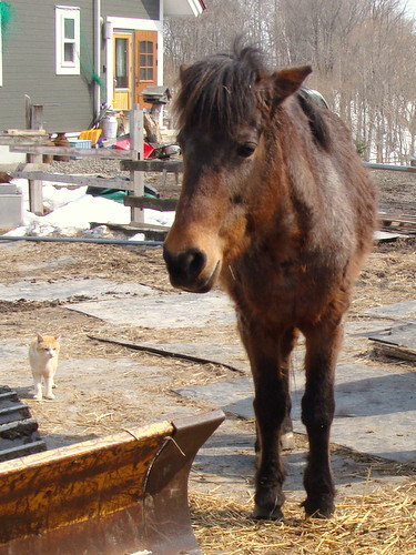 DSC07780.jpg