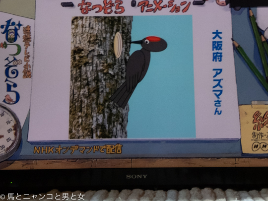 P1030061
