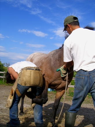 20070725220904.jpg
