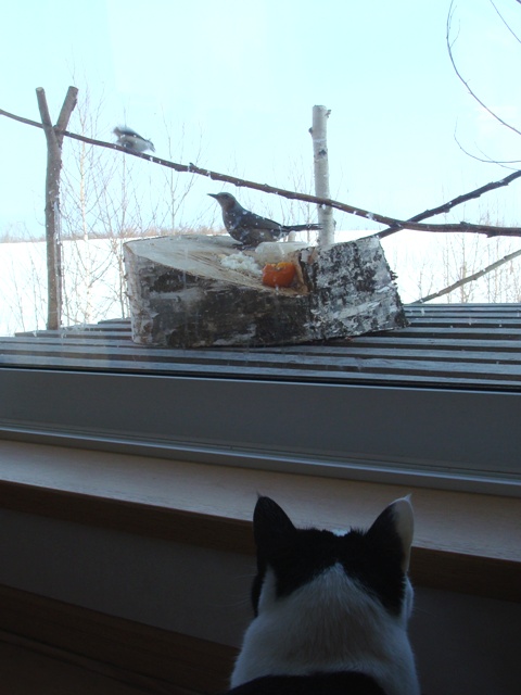 DSC04342.jpg