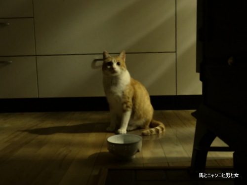 8787d3a8.jpg