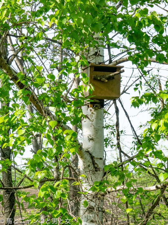 _DSC9812