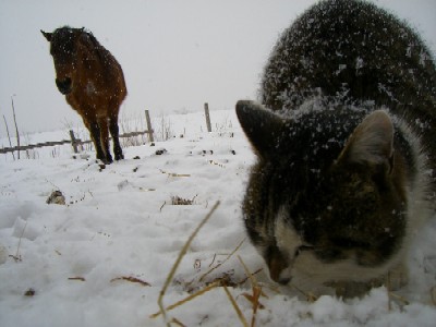 20060217201043.jpg