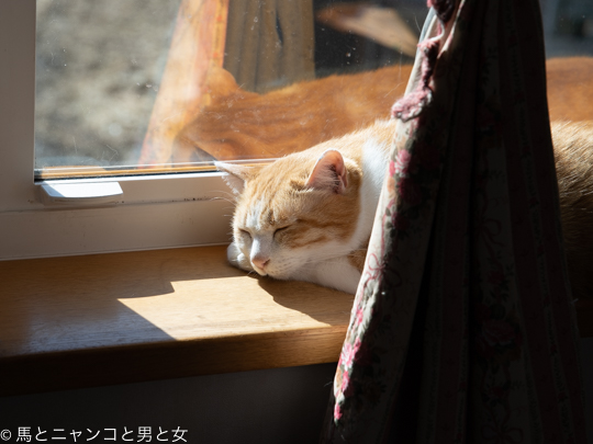 DSC03385