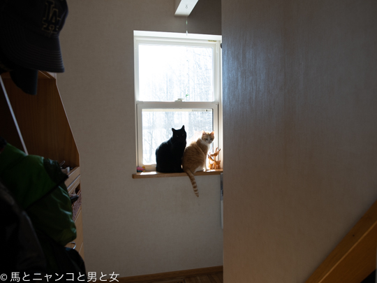 DSC03817