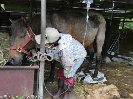 一進一退 馬とニャンコと男と女 Powered By ライブドアブログ