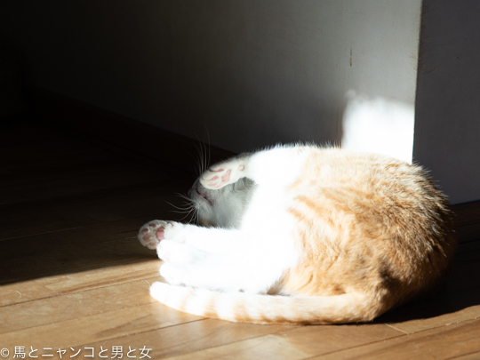 DSC01151