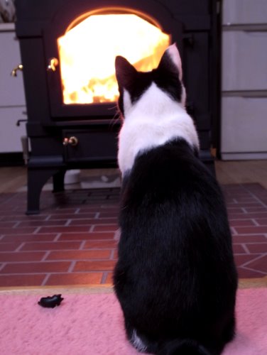 009_20111119004835.jpg
