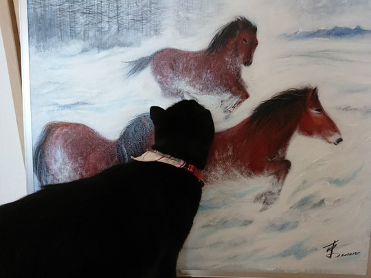 DSCPDC_0002_BURST20180213114702485_COVER