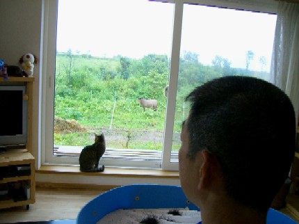 20070712224435.jpg