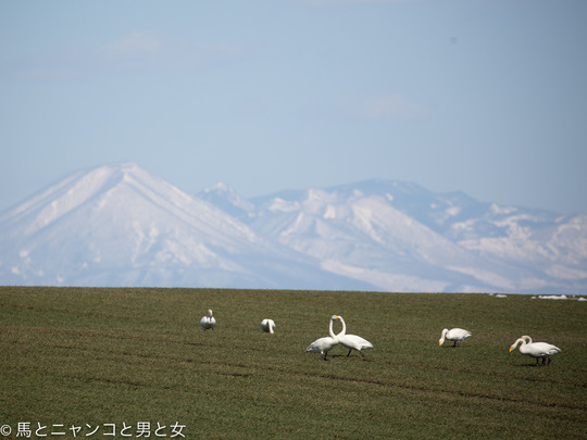 6R3A3144