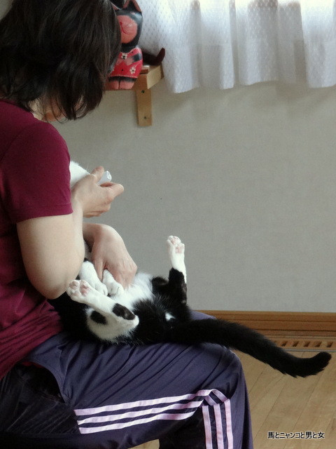 DSC08272.jpg