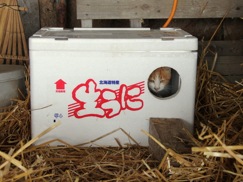 a3e7161f.jpg