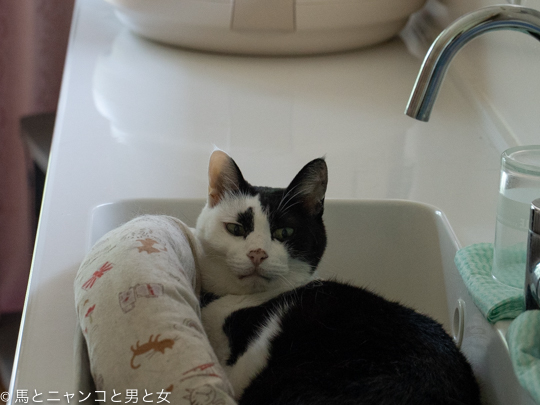 DSC00147