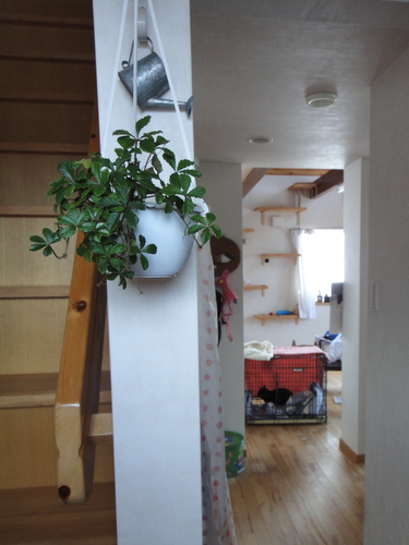 DSC10003.jpg