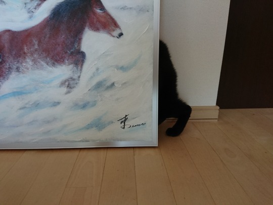 DSCPDC_0000_BURST20180213114722797