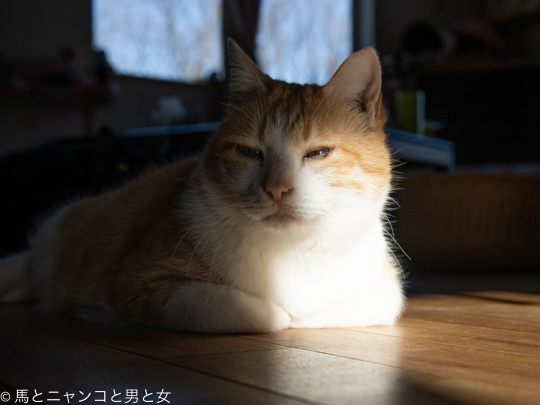 DSC09001