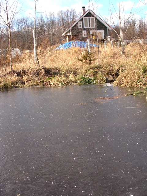 DSC04099.jpg