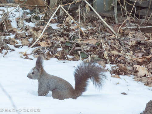 _DSC4393