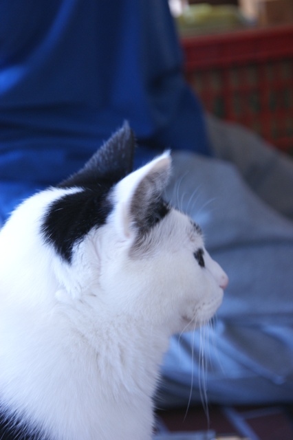 DSC01491.jpg