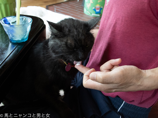 DSC08791