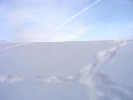 b2e4b808.jpg