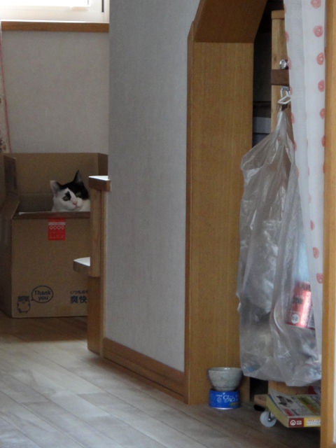 DSC04716.jpg