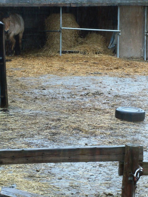 DSC05620.jpg