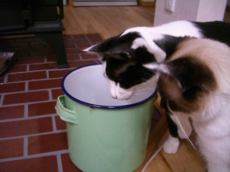 20071020231508.jpg