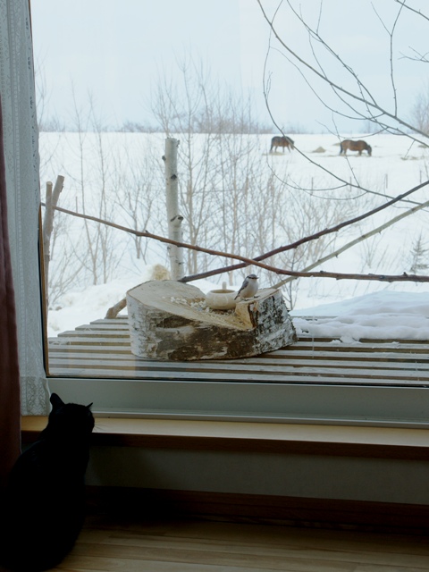 DSC04095.jpg