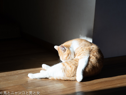 DSC01139