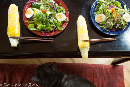 6R3A0026