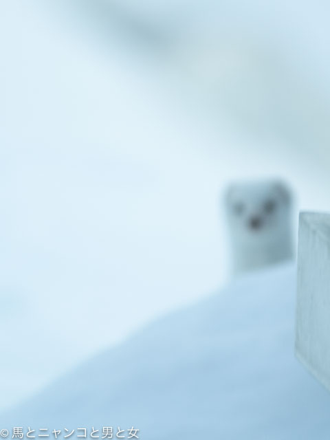 _DSC1850