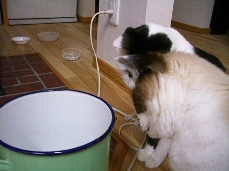 20071020231452.jpg