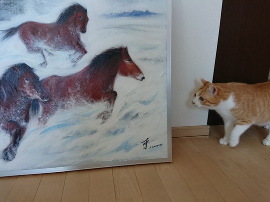 DSCPDC_0002_BURST20180213114726783_COVER