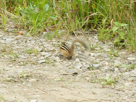DSC09561.jpg
