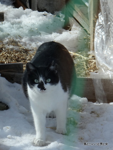 DSC00255.jpg