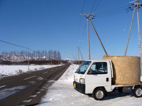 c880bf7e.jpg