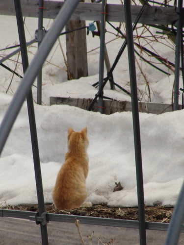DSC07796.jpg