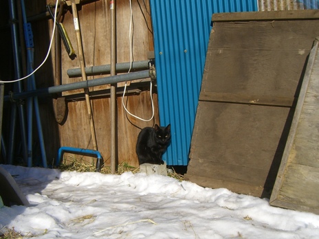 20071125232857.jpg