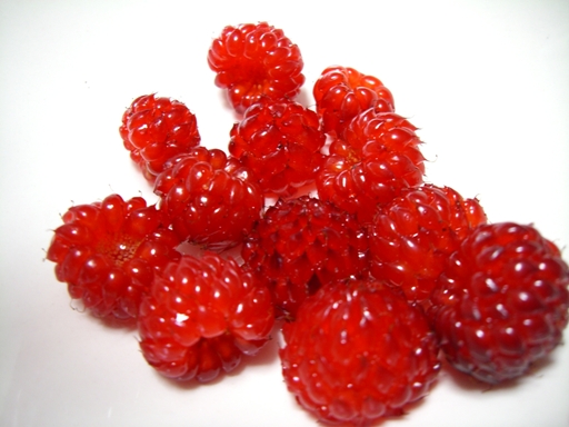 ca07c320.jpg