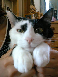 20070111213805