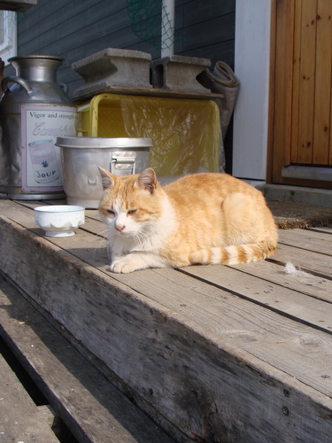 DSC07666.jpg