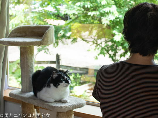 DSC08612