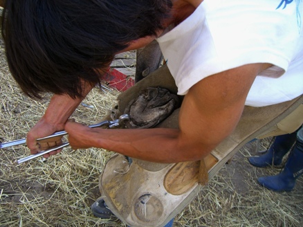 20070725220919.jpg