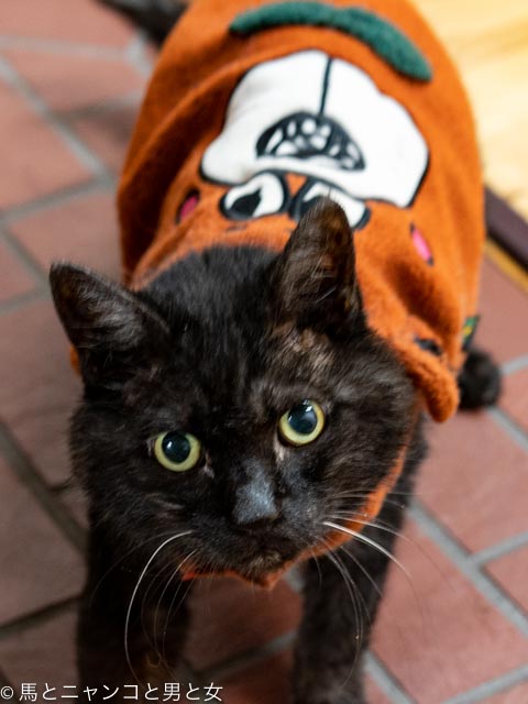 DSC07121