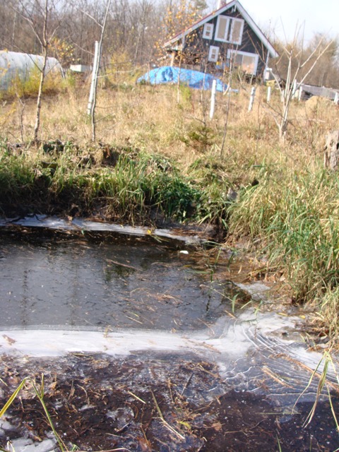 DSC03956.jpg