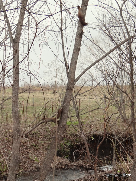 DSC00075_20160427232553427.jpg